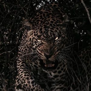 在浴室外被老公上司王总
