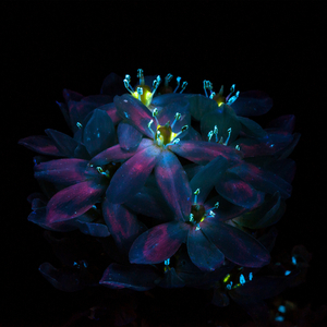 在浴室外被老公上司王总
